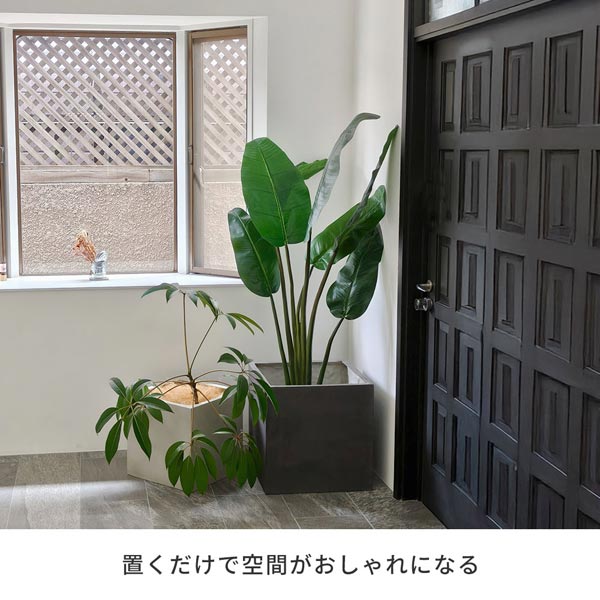 置くだけで空間がおしゃれになる