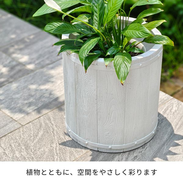 植物とともに空間をやさしく彩ります