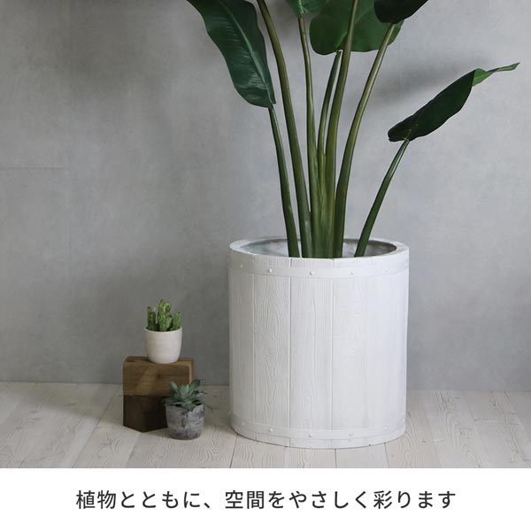 植物とともに空間をやさしく彩ります