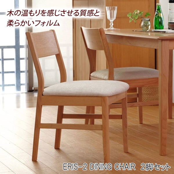 ダイニングチェア 2脚セット ERIS-2 DINING CHAIR