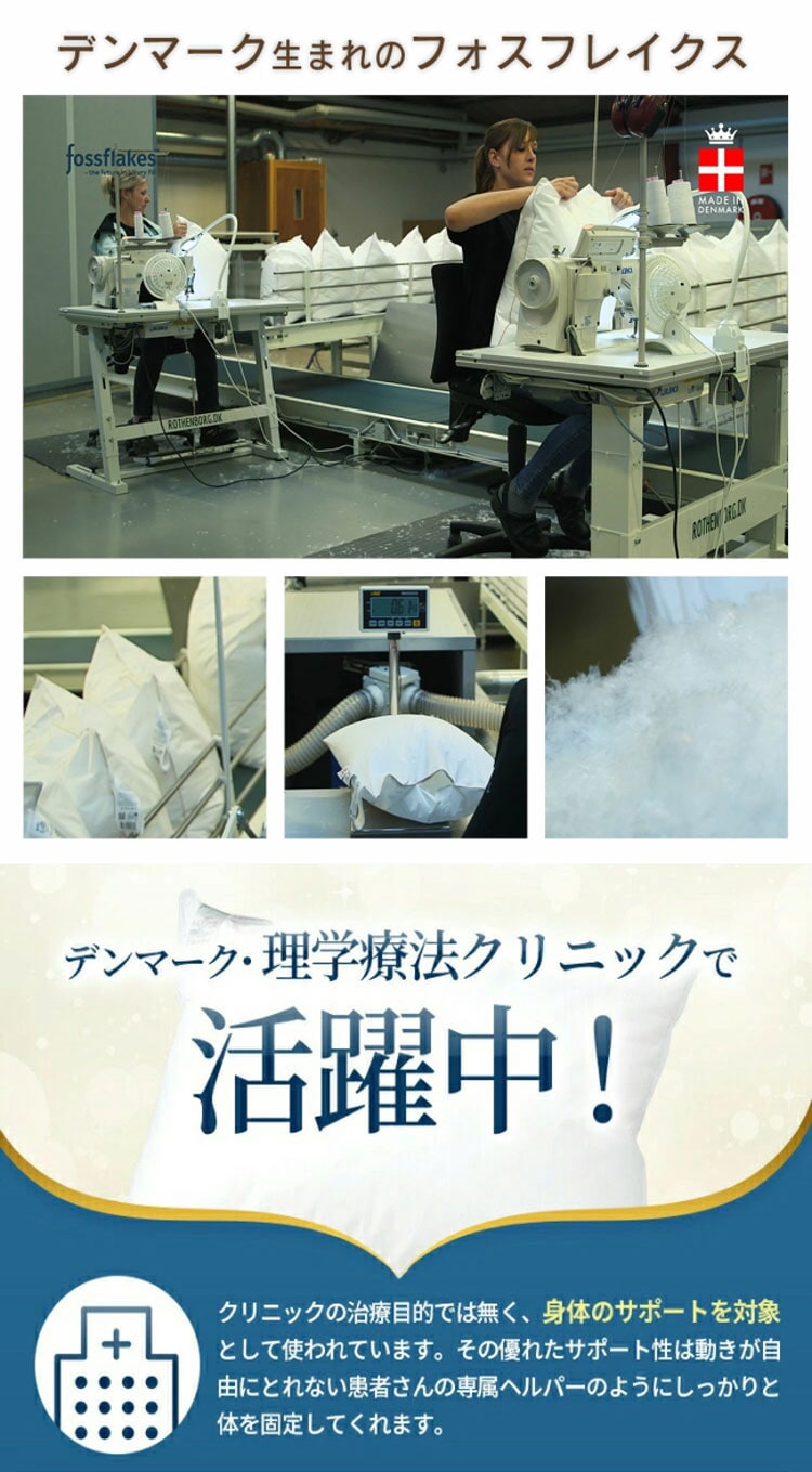 デンマーク・理学療法クリニックで活躍中