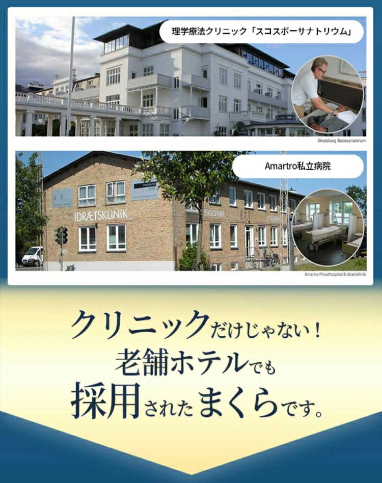 老舗ホテルでも採用されたまくら