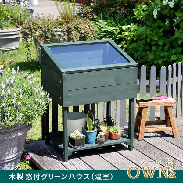 木製窓付グリーンハウス 温室 多肉植物 観葉植物 OWN オウン GRH45
