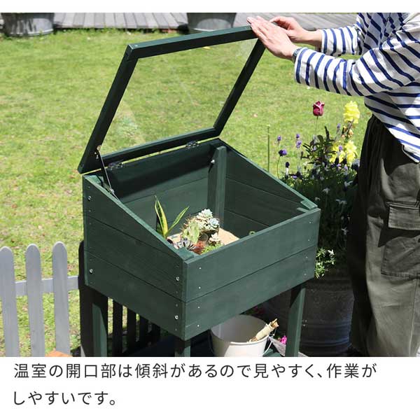 温室の開口部は傾斜があるので見やすく作業がしやすい。