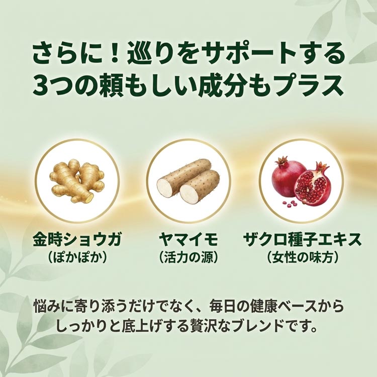 巡りをサポートする3つの頼もしい成分もプラス/金時ショウガ/ヤマイモ/ザクロ種子エキス