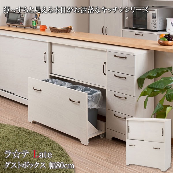 ダストボックス 2分別 キッチンカウンター 幅80cm