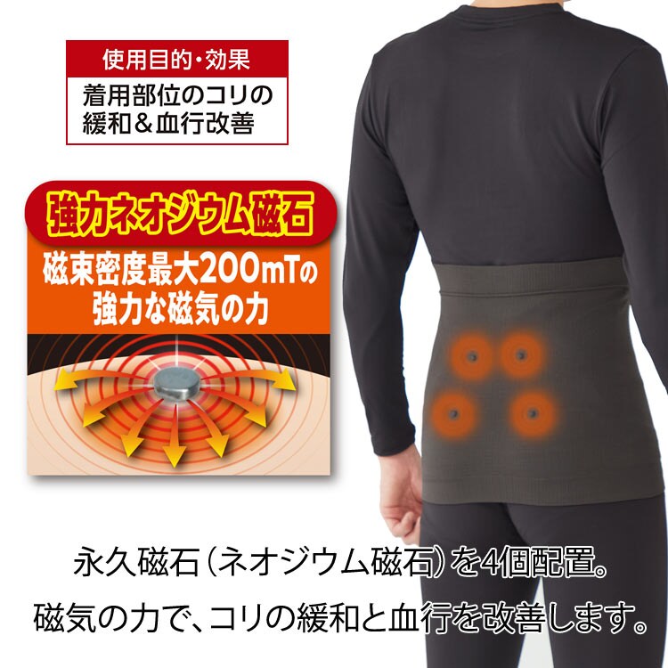 永久磁石(ネオジウム磁石)を4個配置