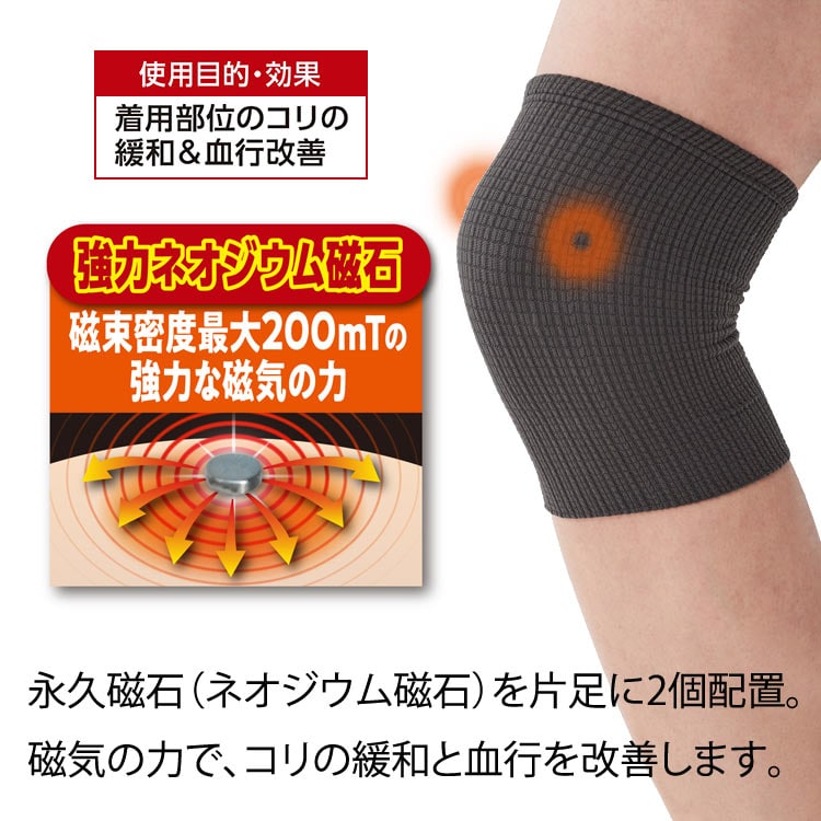 永久磁石(ネオジウム磁石)を片足に2個配置