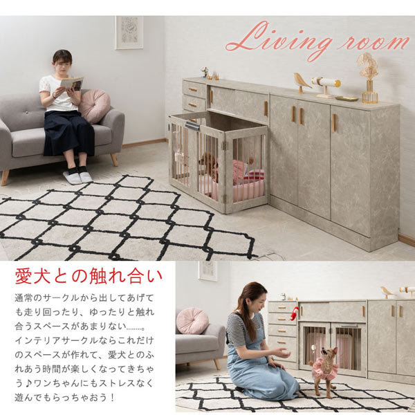 愛犬との触れ合い