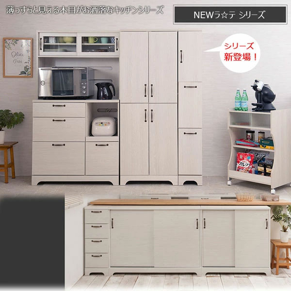 スリム2分別ダストボックス 幅25cm