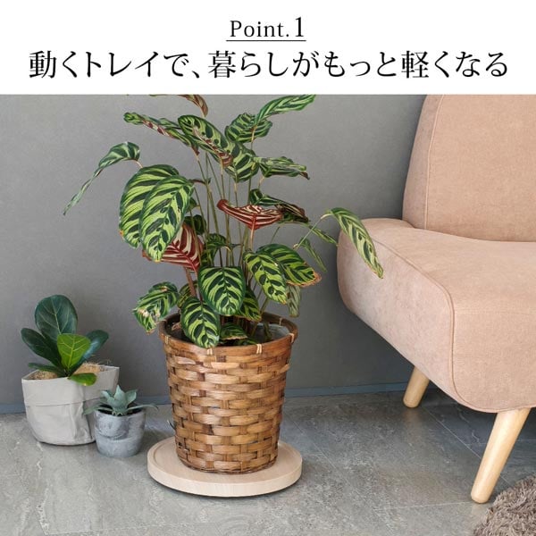 動くトレイで暮らしがもっと軽くなる