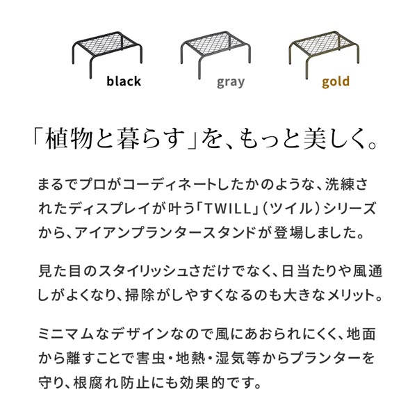 植物と暮らすをもっと美しく