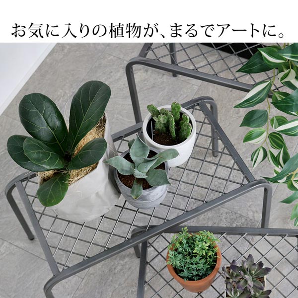 お気に入りの植物がまるでアートに