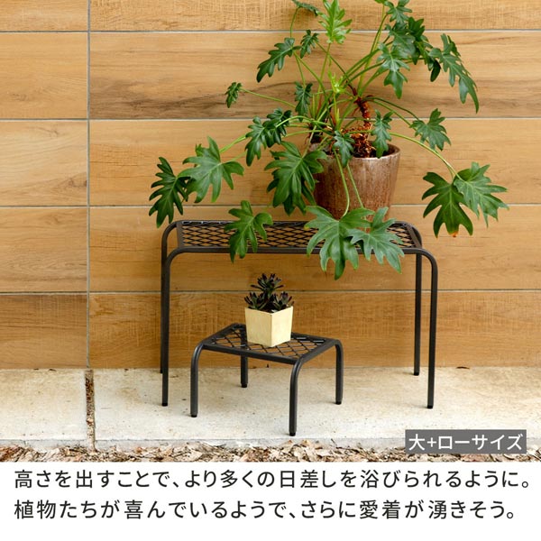 高さを出すことでより多くの日差しを浴びられるように