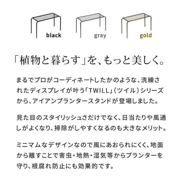 植物と暮らすをもっと美しく