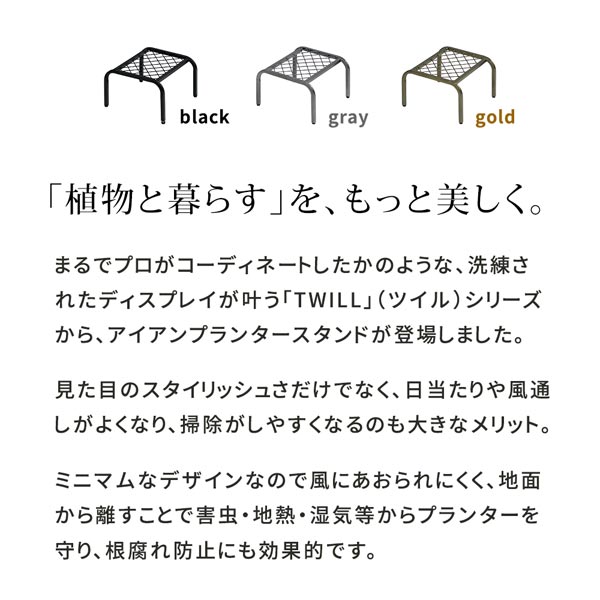 植物と暮らすをもっと美しく