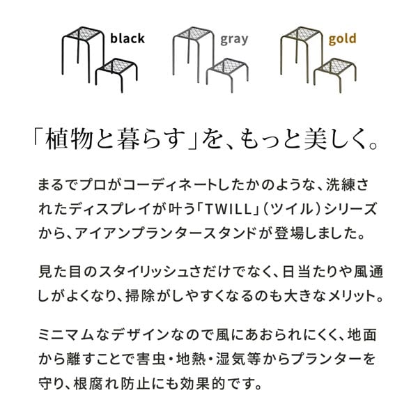 植物と暮らすをもっと美しく