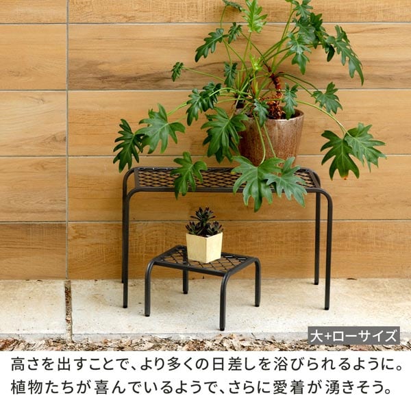 高さを出すことでより多くの日差しを浴びられるように