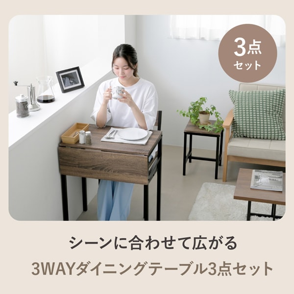 ダイニングテーブルセット 幅61cm バタフライ天板 テーブル チェア スツール 3点set UNI-0011-BKBR-JK