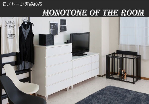 モノトーンスタイル
