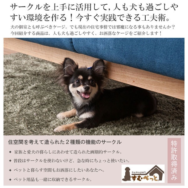 人も犬も過ごしやすい環境を作る