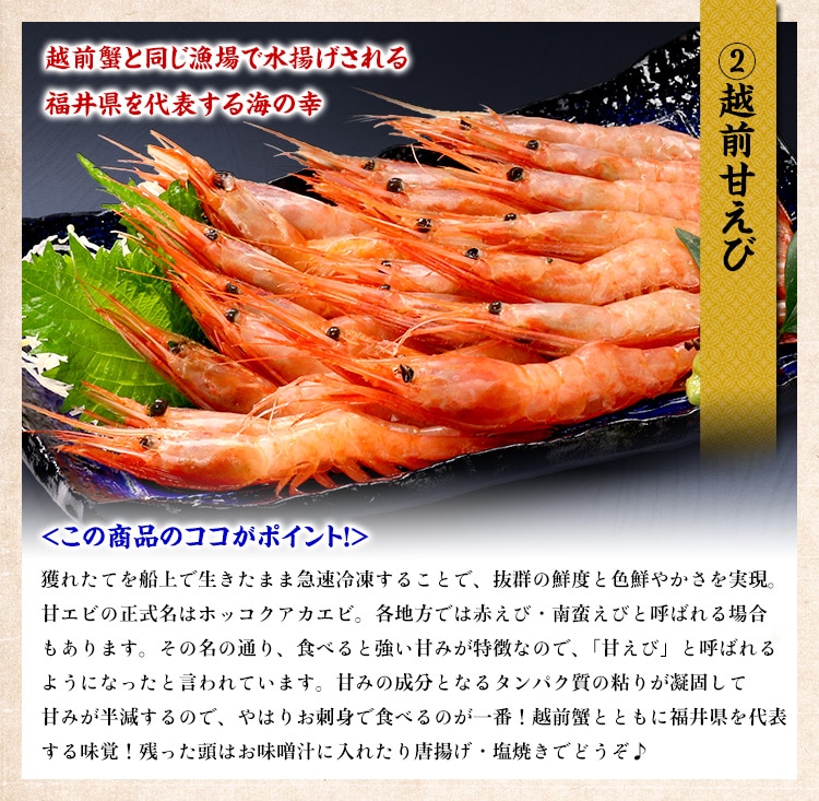 越前甘えび