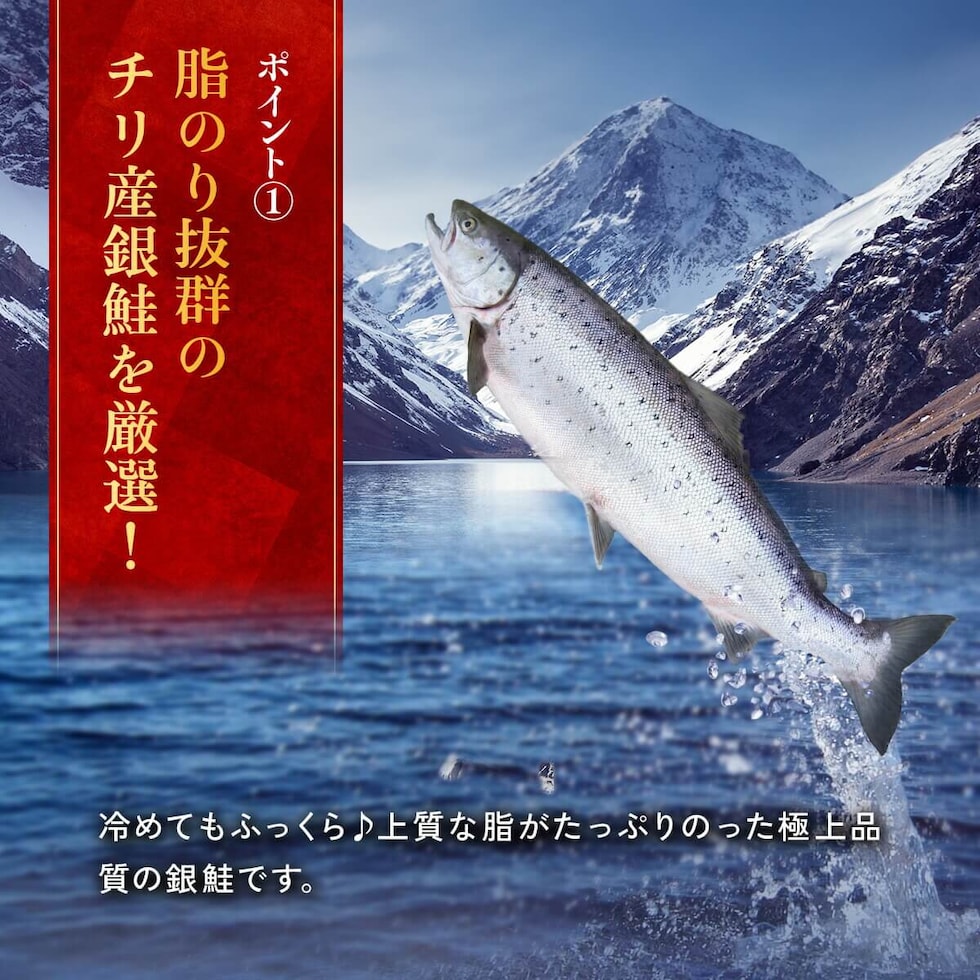 骨取り銀鮭切身