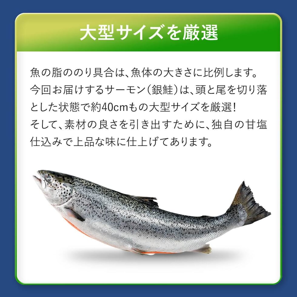 骨取り銀鮭切身