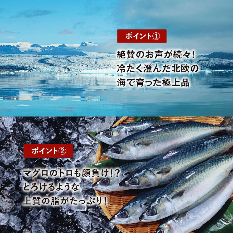 無塩 骨取り さば 切身