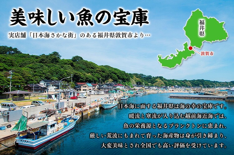美味しい魚の宝庫