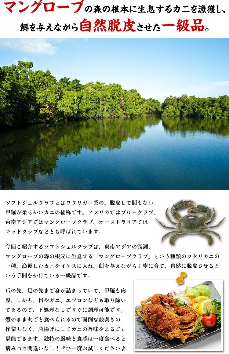 自然脱皮させた一級品