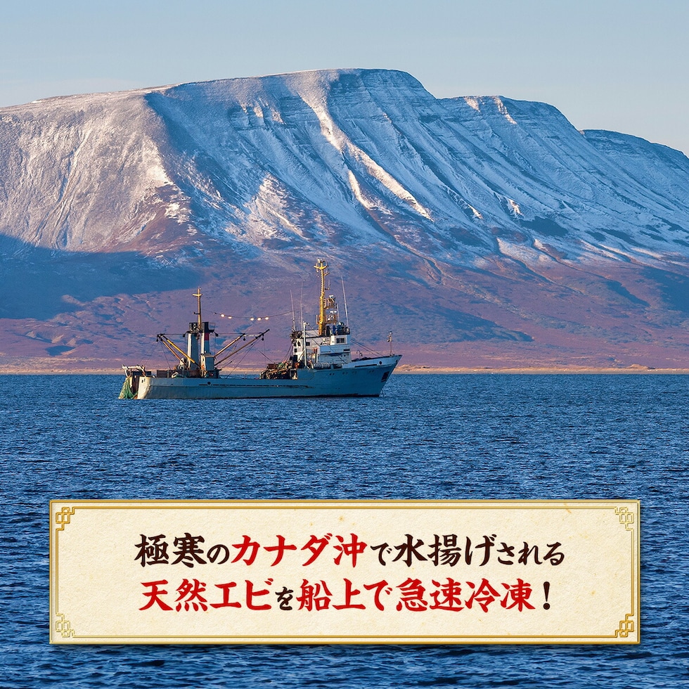 極寒のカナダ沖