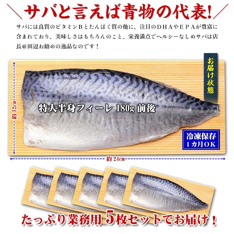 特大半身フィーレ5枚セット