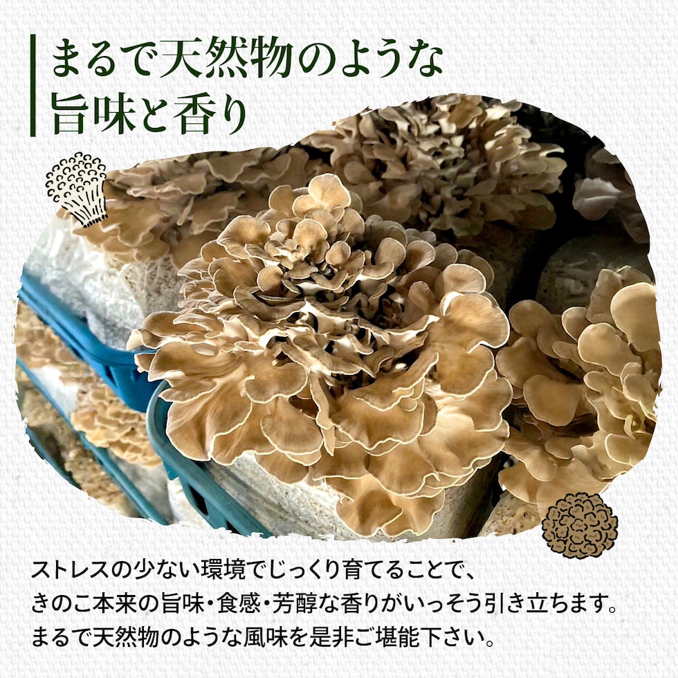 まるで天然モノ