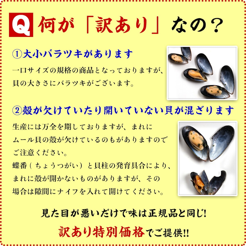 訳あり特別価格