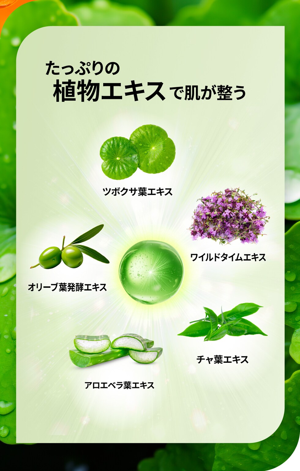 AAAA