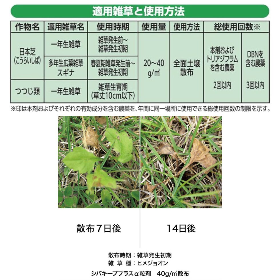 適用