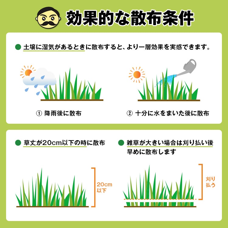 雑草の生え始め、降雨後の散布がおすすめです