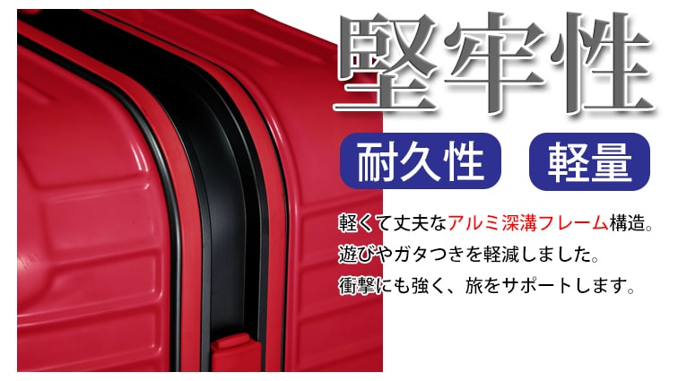堅牢性