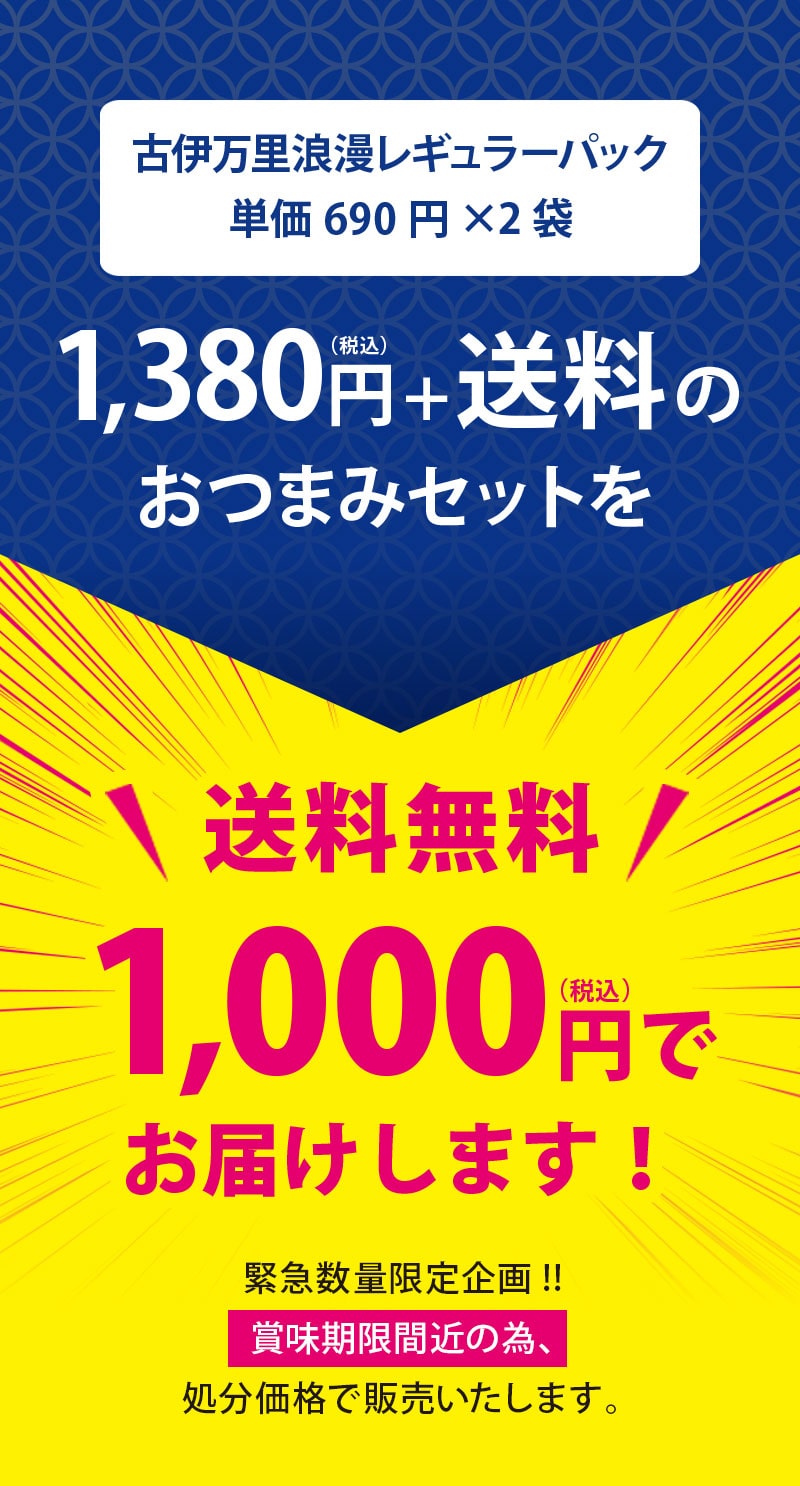 訳ありレギュラーパック2袋