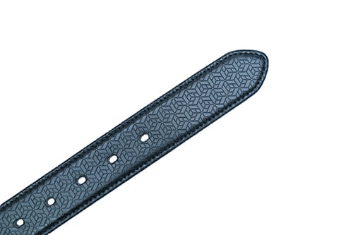 テイルウィンド ベルト