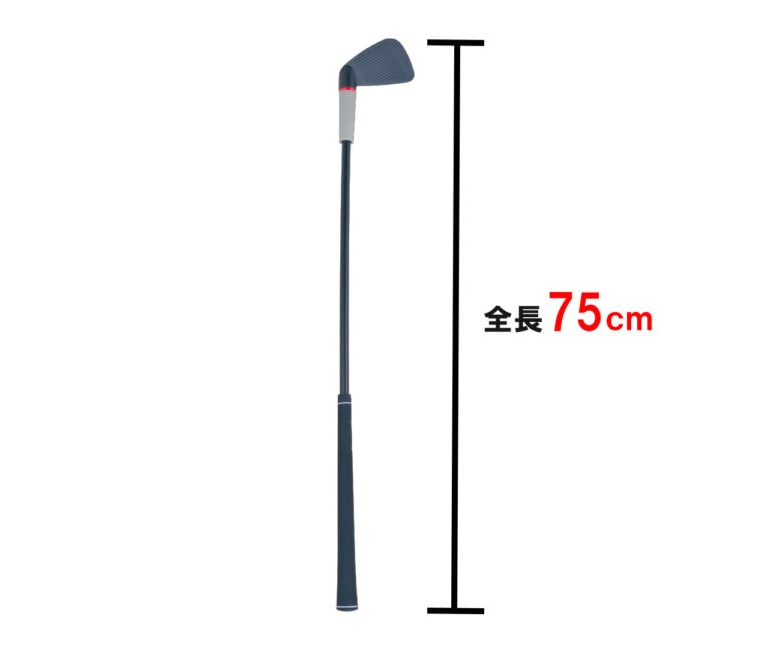 ダイヤ ダイヤスイング533 練習器