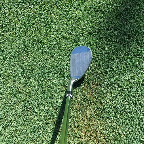 キーパーソン　ウェッジ