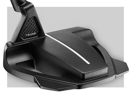 テーラーメイド パター