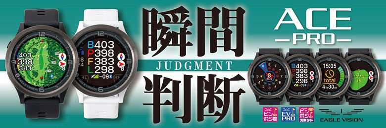 イーグルビジョン GPSナビ