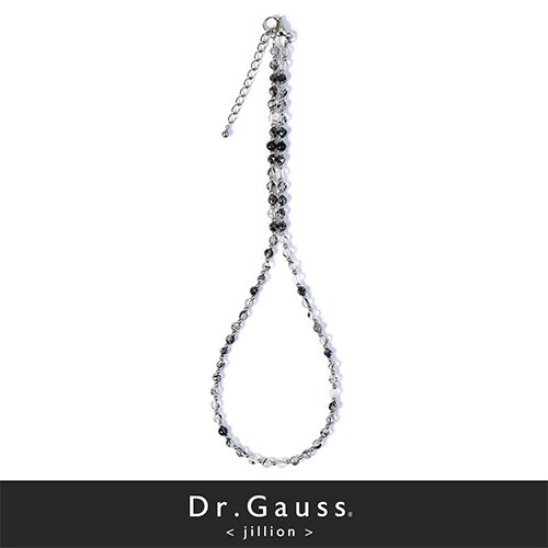 Dr.ガウス　ネックレス