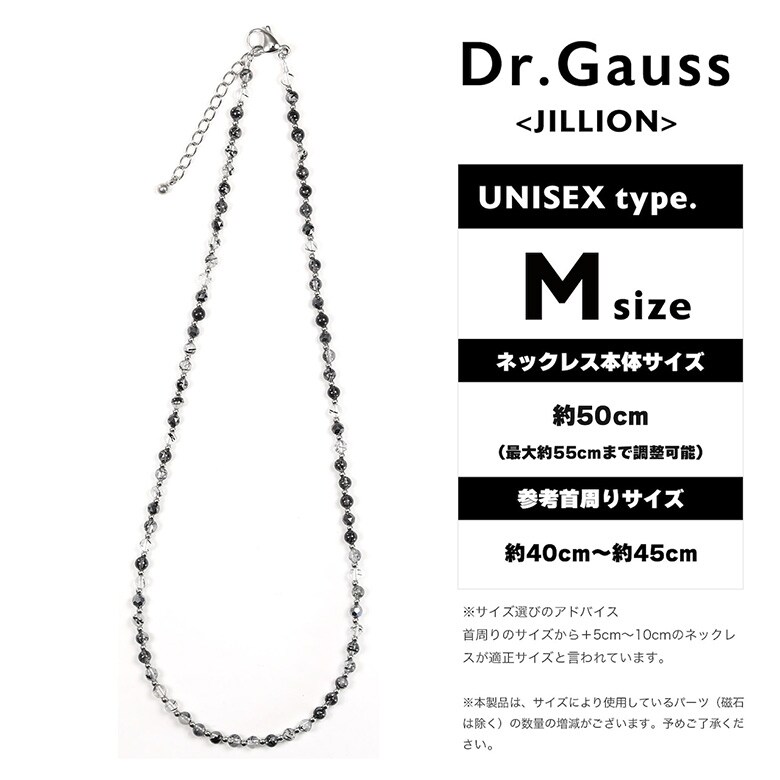 Dr.ガウス　ネックレス