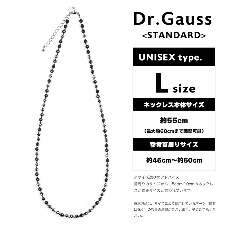 Dr.ガウス　ネックレス