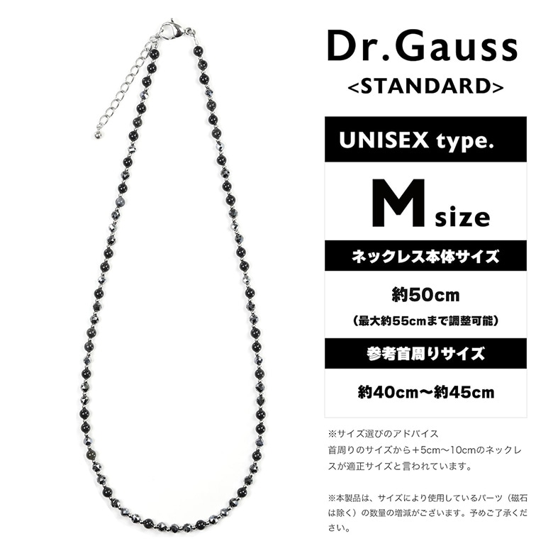 Dr.ガウス　ネックレス