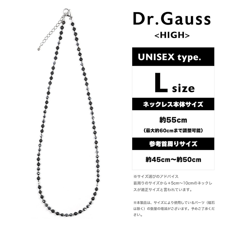 Dr.ガウス　ネックレス